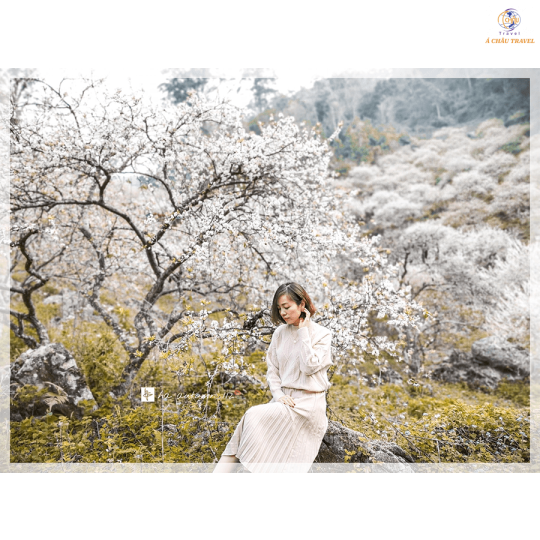 Sài Gòn - Hà Giang -  Cao Bằng - Hồ Ba Bể -  Hà Nội