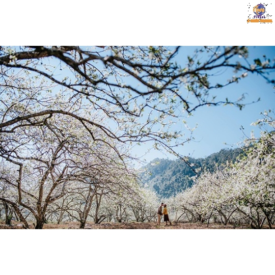 Sài Gòn - Hà Giang -  Cao Bằng - Hồ Ba Bể -  Hà Nội