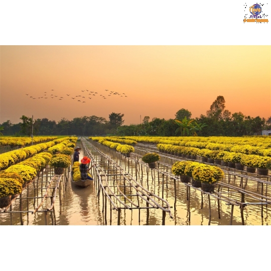 TP. HCM - Mỹ Tho - Bến Tre - Cần Thơ - Chợ Cái Răng 