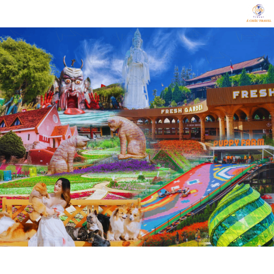 Đà Lạt - Thành phố Hoa và Những Điểm Tham Quan Mới Nhât Hiện Nay