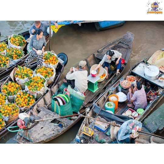 Mỹ Tho - Bến Tre - Cần Thơ - Chợ Cái Răng
