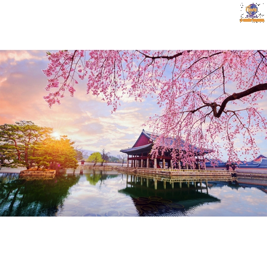 Du Lịch Hàn Quốc