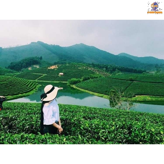 Hà Nội - Biển Cửa Lò - Nghệ An - Thanh Hoá - Sầm Sơn