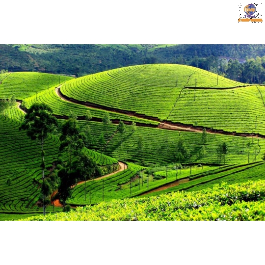 Hà Nội - Biển Cửa Lò - Nghệ An - Thanh Hoá - Sầm Sơn