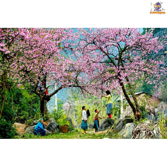 Sài Gòn - Hà Giang -  Cao Bằng - Hồ Ba Bể -  Hà Nội