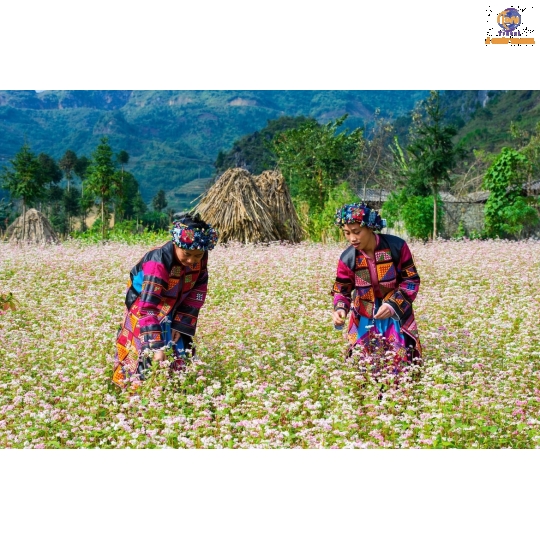 Sài Gòn - Hà Giang -  Cao Bằng - Hồ Ba Bể -  Hà Nội
