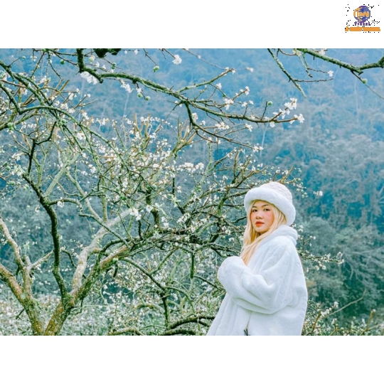 Sài Gòn - Hà Giang -  Cao Bằng - Hồ Ba Bể -  Hà Nội