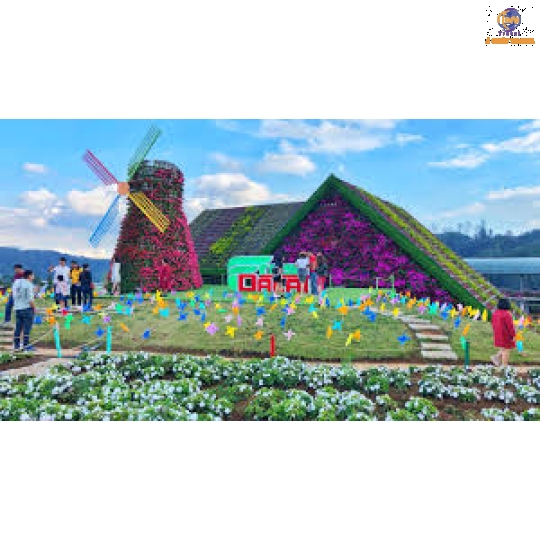 Đà Lạt - Thành phố Hoa và Những Điểm Tham Quan Mới Nhât Hiện Nay