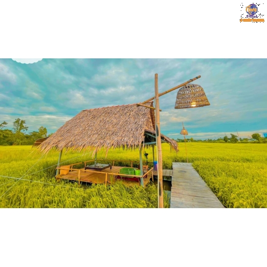 Khu Du Lịch Mỹ Phước Thành - Làng Hoa Sa Đéc - Vườn Trà Là