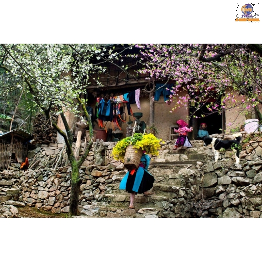 HÀ NỘI - HÀ GIANG - YÊN MINH -SÔNG NHO QUẾ - ĐỒNG VĂN