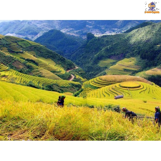 Hà Nội - Lào Cai - SaPa