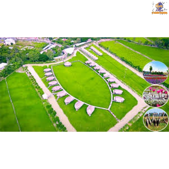 Khu Du Lịch Mỹ Phước Thành - Làng Hoa Sa Đéc - Vườn Trà Là