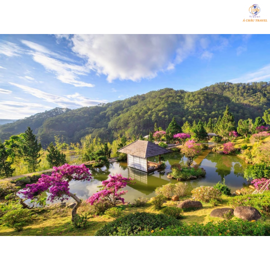 Đà Lạt - Thành phố Hoa và Những Điểm Tham Quan Mới Nhât Hiện Nay