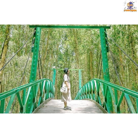 Quần đảo Bà Lụa - Vịnh Hạ Long phương Nam - Rừng Tràm Trà Sư