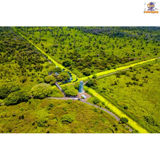 Sài Gòn - Cà Mau - Hòn Đá Bạc - U Minh Hạ - Đất Mũi - Cần Thơ